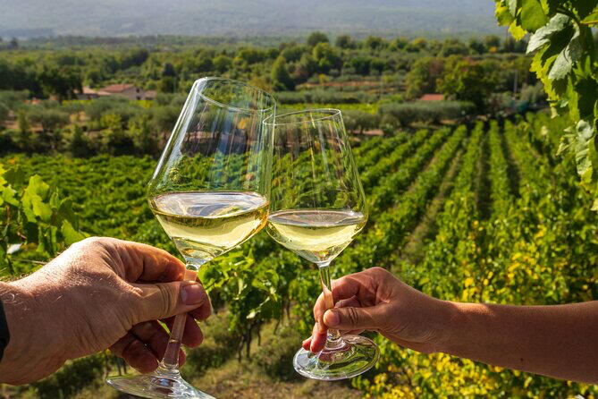 🍷 Private Tours Nemea for wineries visiting and tasting